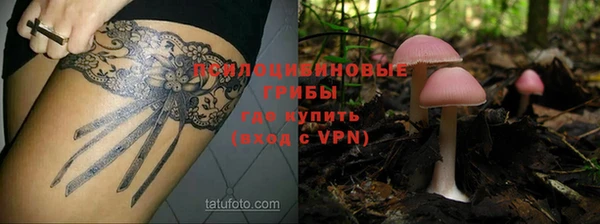 не бодяженный Белокуриха