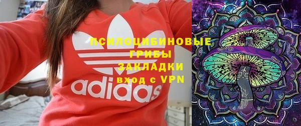 ПСИЛОЦИБИНОВЫЕ ГРИБЫ Богородск
