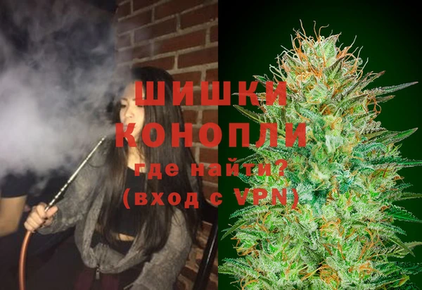 твердый Арсеньев