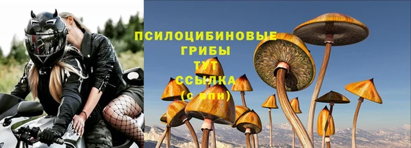 ПСИЛОЦИБИНОВЫЕ ГРИБЫ Богородск