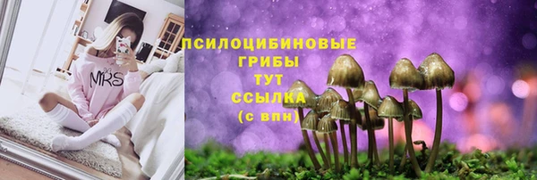 твердый Арсеньев
