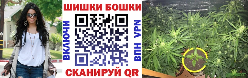 где найти   Чернушка  Каннабис конопля 